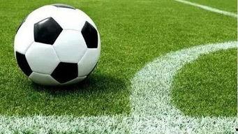 沙曼足球爆料视频大全下载,独家揭秘足球界幕后风云